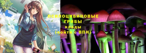 ALPHA PVP Иннополис
