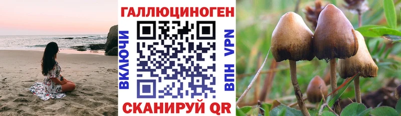 Галлюциногенные грибы ЛСД  Люберцы 
